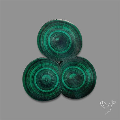 Rare Malachite Stalactite Cluster with Chattoyancy Slice