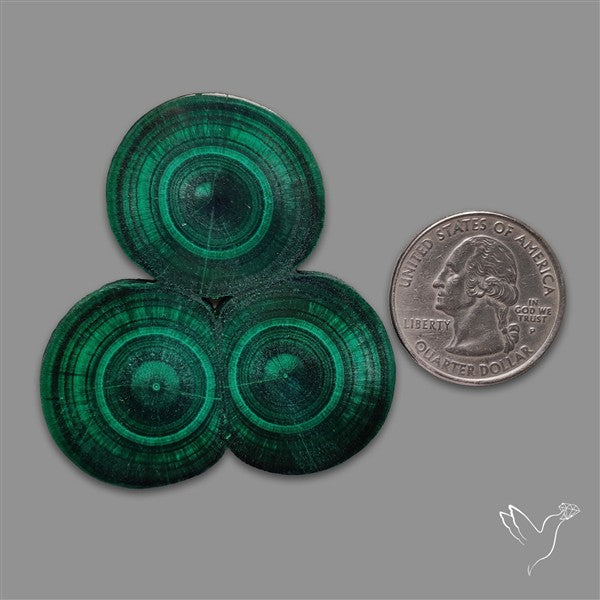 Rare Malachite Stalactite Cluster with Chattoyancy Slice