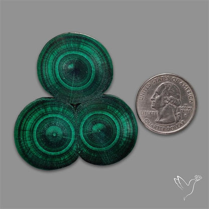 Rare Malachite Stalactite Cluster with Chattoyancy Slice