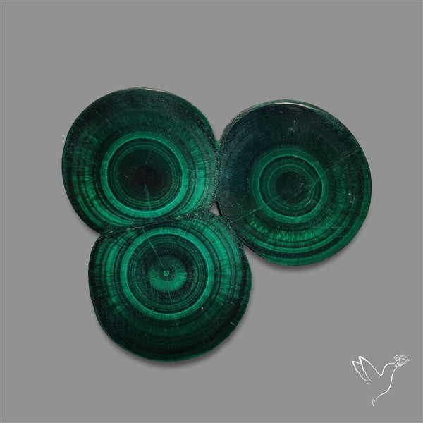 Rare Malachite Stalactite Cluster with Chattoyancy Slice
