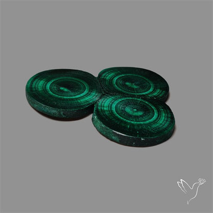 Rare Malachite Stalactite Cluster with Chattoyancy Slice
