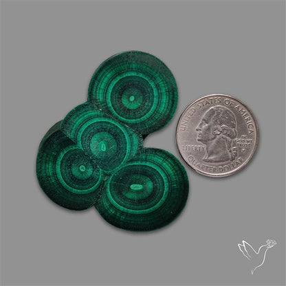 Rare Malachite Stalactite Cluster with Chattoyancy Slice