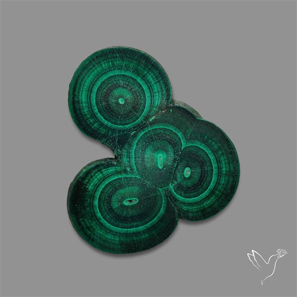 Rare Malachite Stalactite Cluster with Chattoyancy Slice