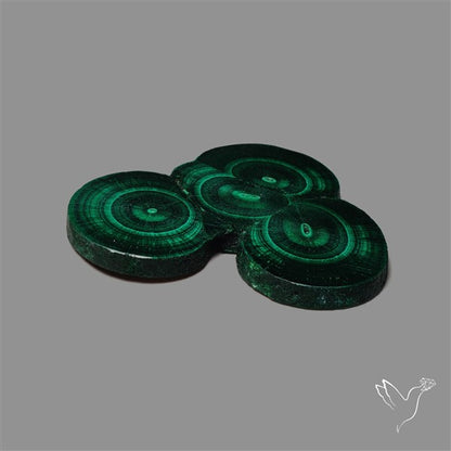 Rare Malachite Stalactite Cluster with Chattoyancy Slice