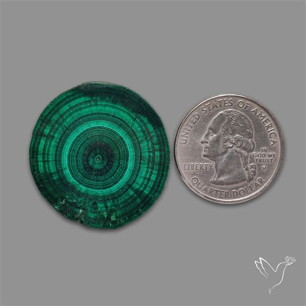 Rare Malachite Stalactite with Chattoyancy Slice
