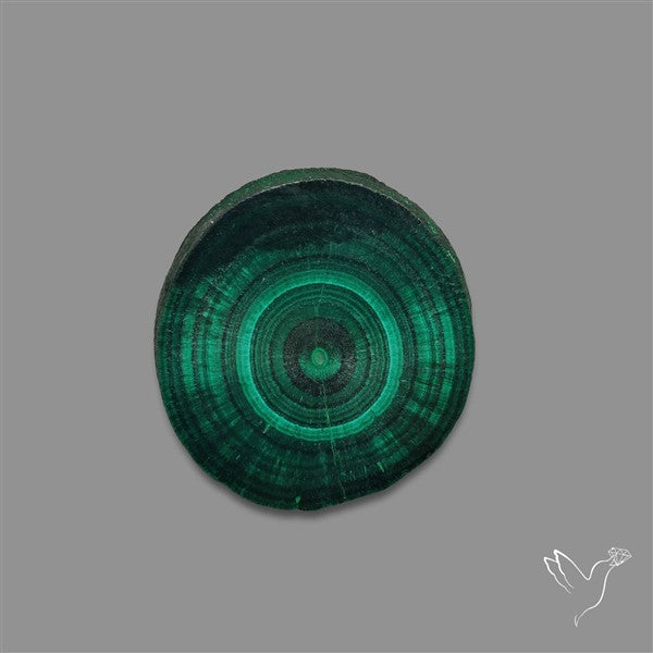 Rare Malachite Stalactite with Chattoyancy Slice