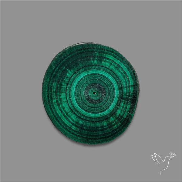 Rare Malachite Stalactite with Chattoyancy Slice
