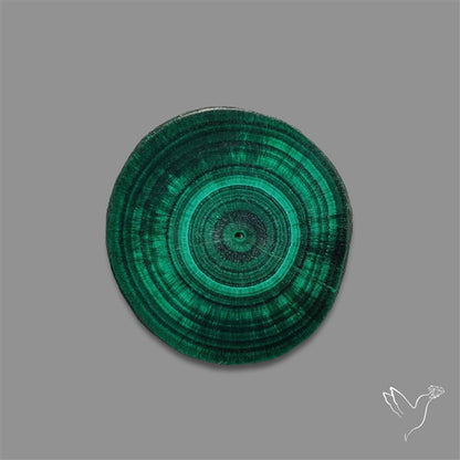 Rare Malachite Stalactite with Chattoyancy Slice