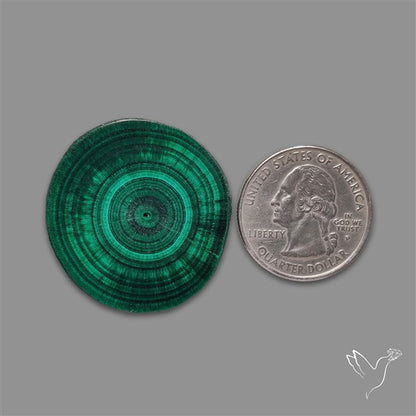 Rare Malachite Stalactite with Chattoyancy Slice