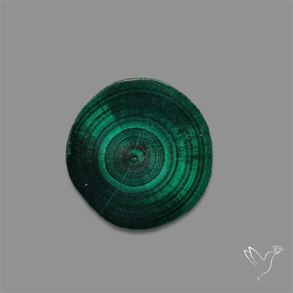 Rare Malachite Stalactite with Chattoyancy Slice
