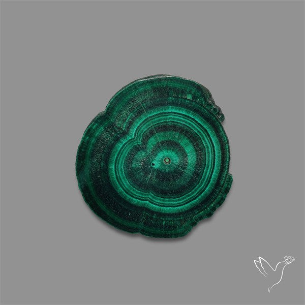 Rare Malachite Stalactite with Chattoyancy Slice