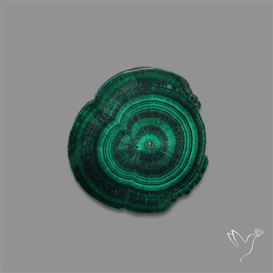 Rare Malachite Stalactite with Chattoyancy Slice
