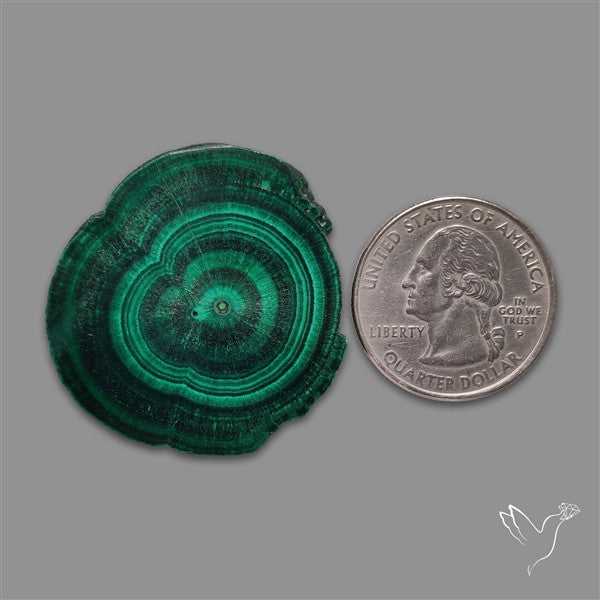 Rare Malachite Stalactite with Chattoyancy Slice