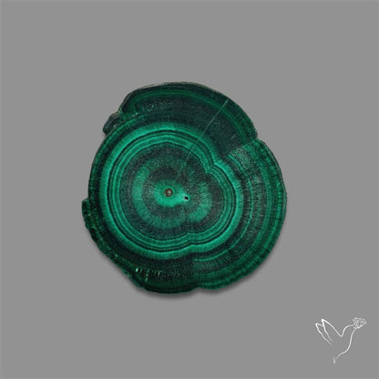 Rare Malachite Stalactite with Chattoyancy Slice