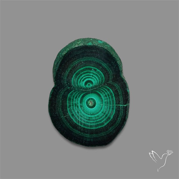 Rare Malachite Stalactite Slice
