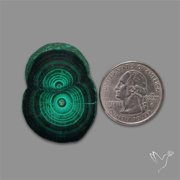 Rare Malachite Stalactite Slice