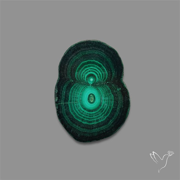 Rare Malachite Stalactite Slice