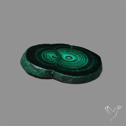 Rare Malachite Stalactite Slice