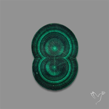 Rare Malachite Stalactite with Chattoyancy Slice