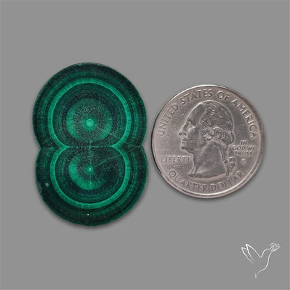 Rare Malachite Stalactite with Chattoyancy Slice