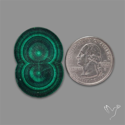 Rare Malachite Stalactite with Chattoyancy Slice