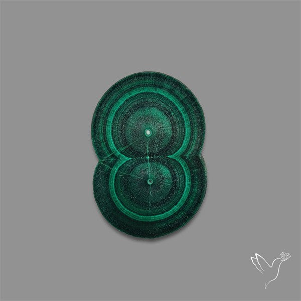 Rare Malachite Stalactite with Chattoyancy Slice