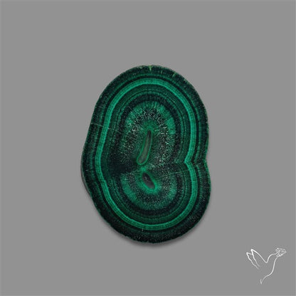 Rare Malachite Stalactite with Chattoyancy Slice
