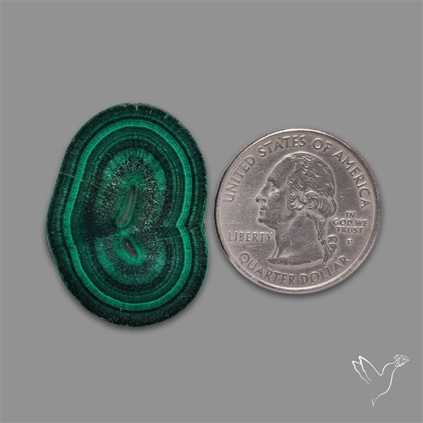Rare Malachite Stalactite with Chattoyancy Slice