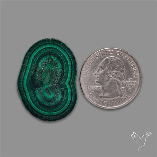 Rare Malachite Stalactite with Chattoyancy Slice