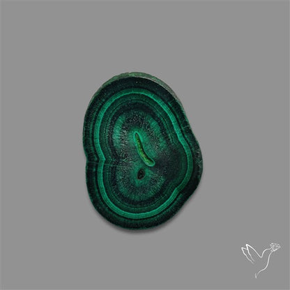 Rare Malachite Stalactite with Chattoyancy Slice