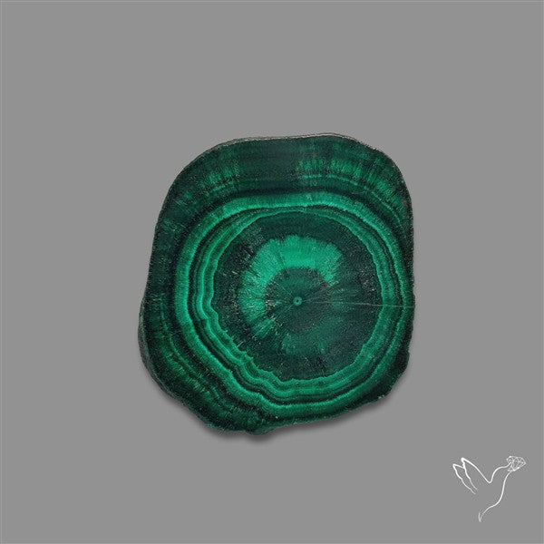 Rare Malachite Stalactite with Chattoyancy Slice