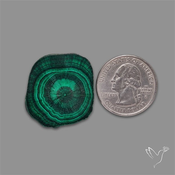 Rare Malachite Stalactite with Chattoyancy Slice