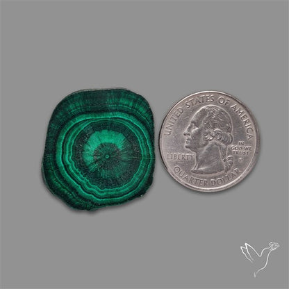 Rare Malachite Stalactite with Chattoyancy Slice
