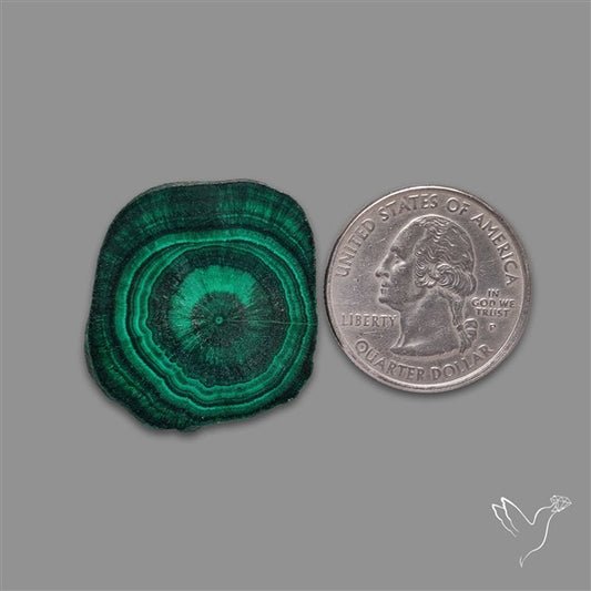 Rare Malachite Stalactite with Chattoyancy Slice