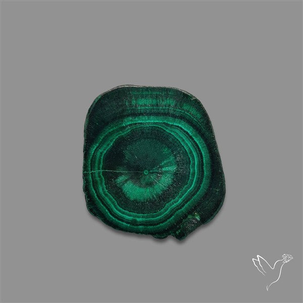Rare Malachite Stalactite with Chattoyancy Slice