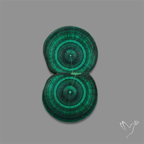 Rare Malachite Stalactite with Chattoyancy Slice