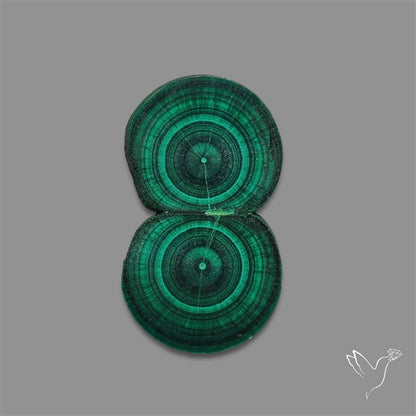Rare Malachite Stalactite with Chattoyancy Slice