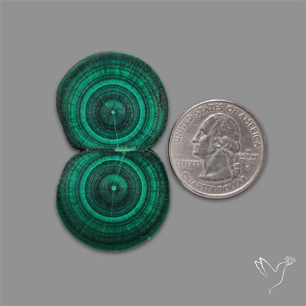Rare Malachite Stalactite with Chattoyancy Slice