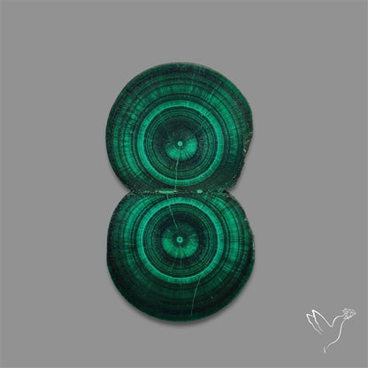 Rare Malachite Stalactite with Chattoyancy Slice