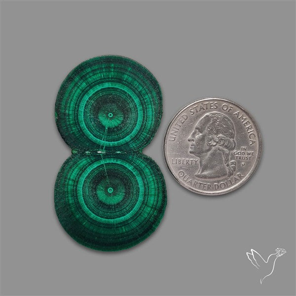 Rare Malachite Stalactite with Chattoyancy Slice
