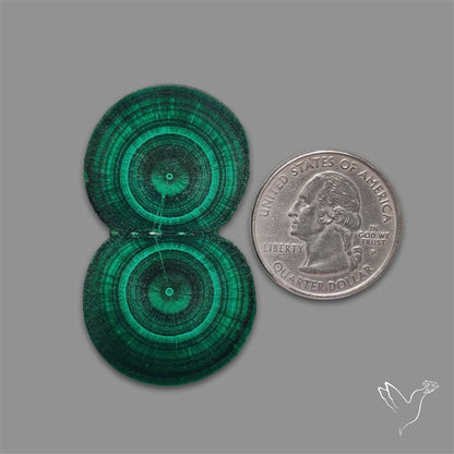 Rare Malachite Stalactite with Chattoyancy Slice