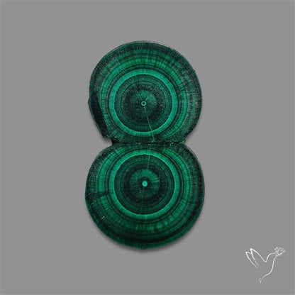 Rare Malachite Stalactite with Chattoyancy Slice