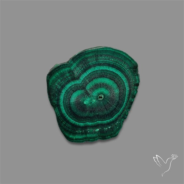 Rare Malachite Stalactite with Chattoyancy Slice