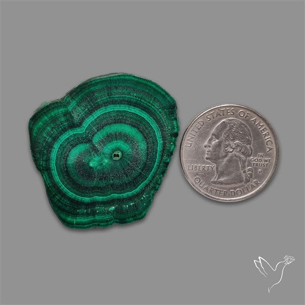 Rare Malachite Stalactite with Chattoyancy Slice