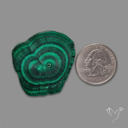 Rare Malachite Stalactite with Chattoyancy Slice