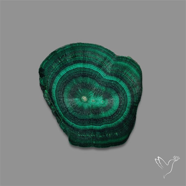 Rare Malachite Stalactite with Chattoyancy Slice