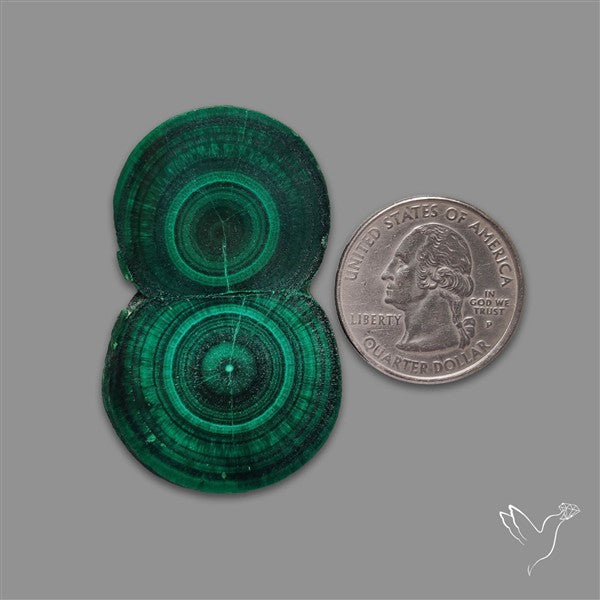 Rare Malachite Stalactite with Chattoyancy Slice