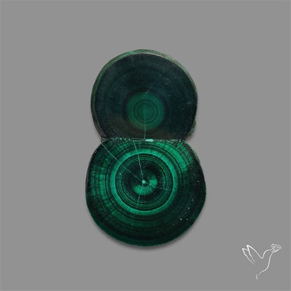 Rare Malachite Stalactite with Chattoyancy Slice