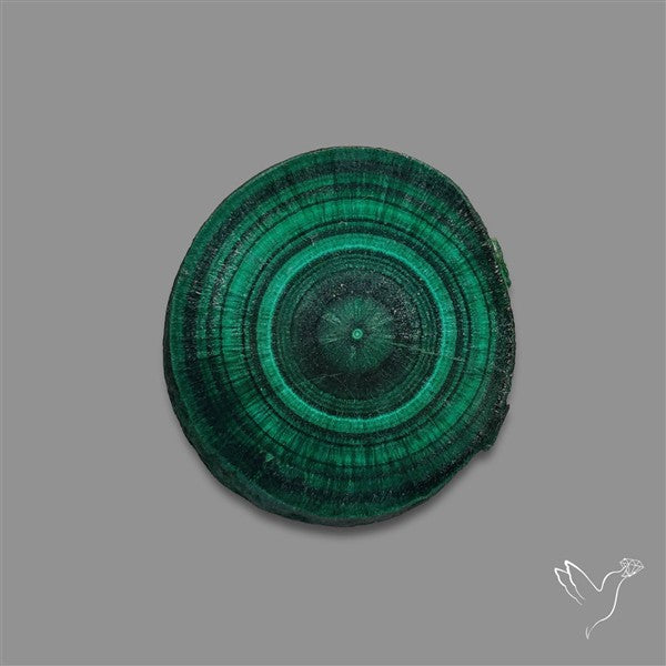 Rare Malachite Stalactite with Chattoyancy Slice