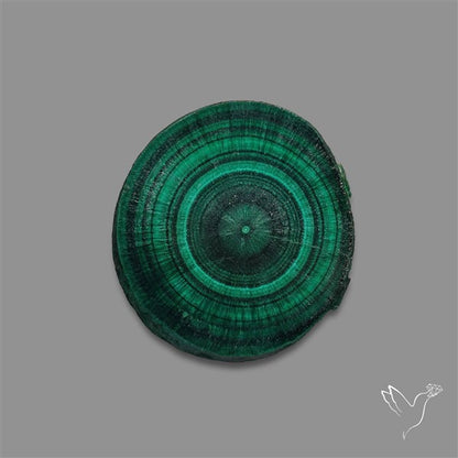 Rare Malachite Stalactite with Chattoyancy Slice
